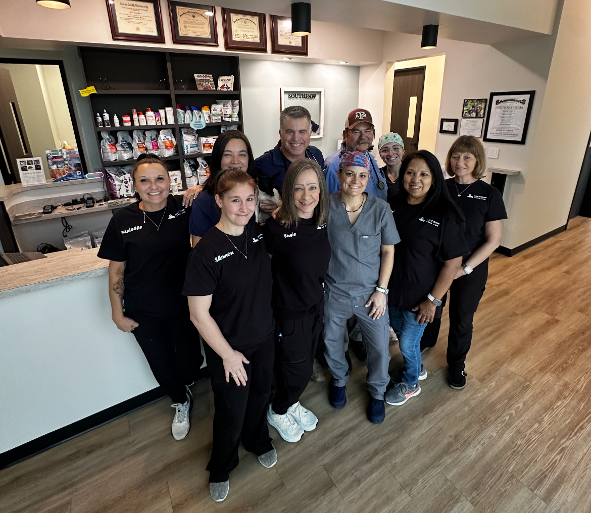 Veterinarian in Leander, Texas Veterinarian in Leander, Texas